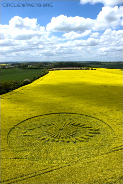 Big Brother crop circle