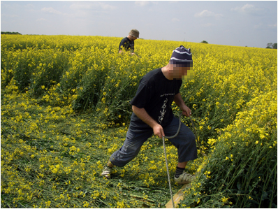 Making the QI crop circle