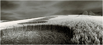 Wilsford crop circle